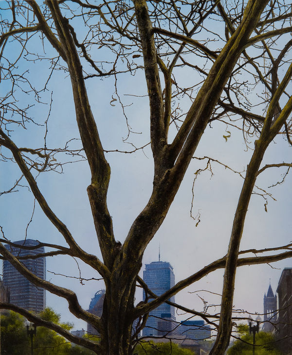 Andres Castellanos, Boston