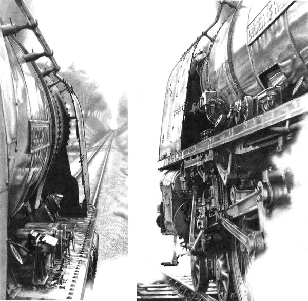 Roger Watt The Duchess I & II Graphite on Bristol board Left - 18 x 8.5 cm Right - 18 x 10 cm Framed - 43 x 43 cm