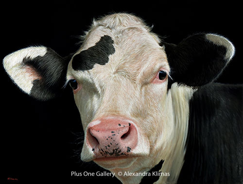 Alexandra Klimas Rosie the Calf Oil on canvas 100 x 130 cm