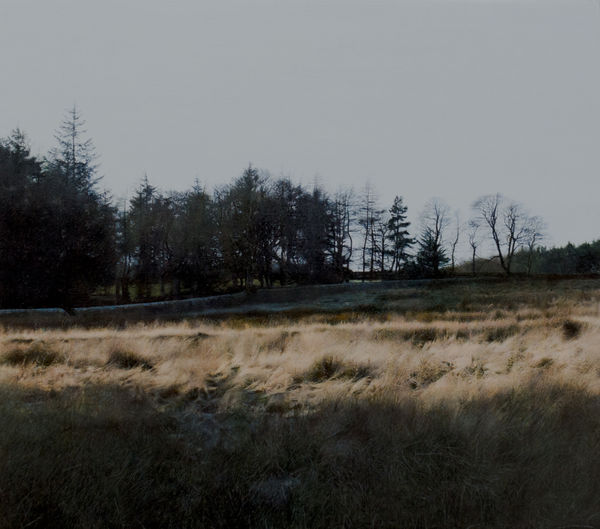 Michael Gaskell Owl Light Oil and acrylic on board 17.5 x 20 cm Framed: 32 x 32 cm