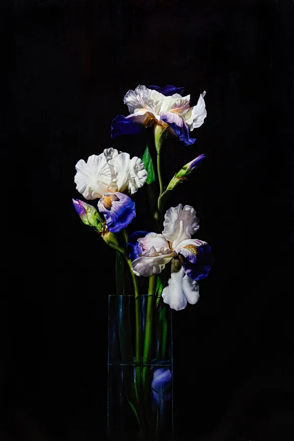 Alexander Sheversky, Iris
