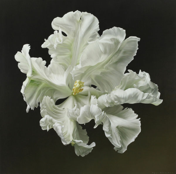 Igor Levashov, White Parrot XV