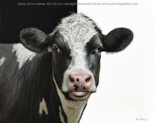 Alexandra Klimas Daisy Oil on canvas 40 x 50 cm