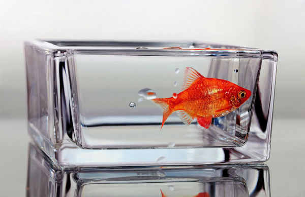 Young-sung Kim, [Nothing. Life. Object.]