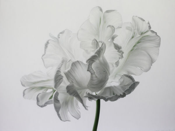 Igor Levashov White Parrot Oil on canvas 120 x 160 cm