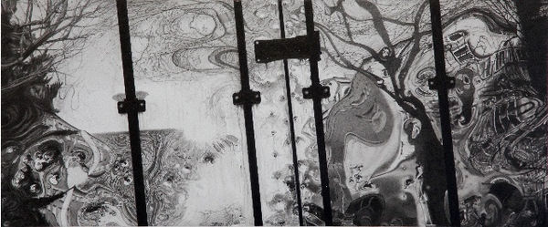 Roger Watt, Treeflections