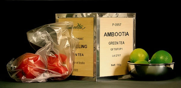 Pedro Campos, Teatime