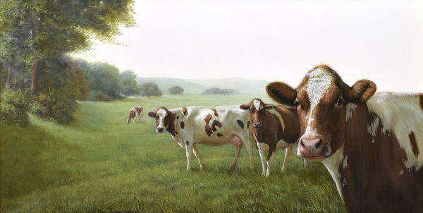Alexandra Klimas Cows in a Landscape Oil on canvas 40 x 80 cm
