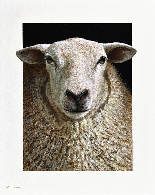 Alexandra Klimas Lana the Sheep Oil on canvas 50 x 40 cm
