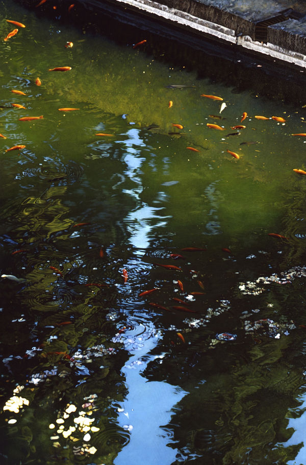 Barry Oretsky, Mesquita Zen