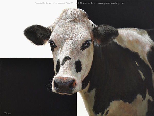 Alexandra Klimas Saskia the Cow Oil on canvas 60 x 80 cm