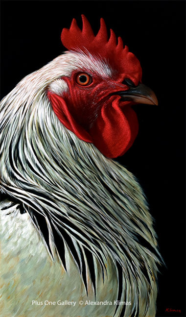 Alexandra Klimas Charlie the Rooster III Oil on canvas 100 x 60 cm