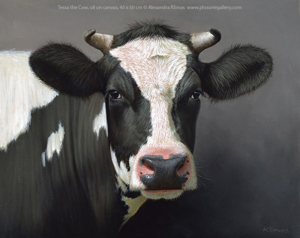 Alexandra Klimas Tessa the Cow Oil on canvas 40 x 50 cm
