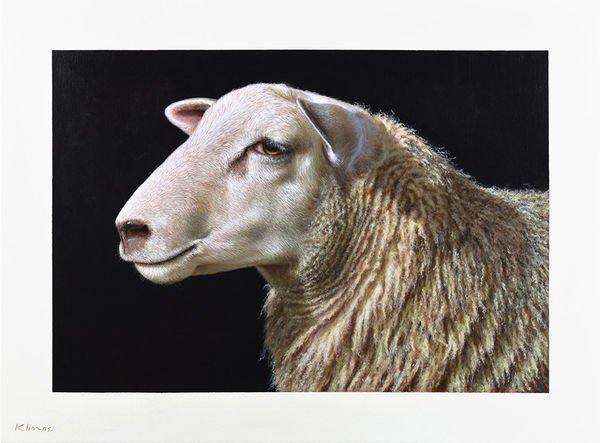 Alexandra Klimas Lotte I the Sheep Oil on canvas 60 x 80 cm