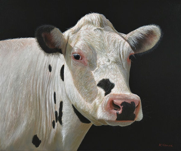 Alexandra Klimas Liva the Cow Oil on canvas 60 x 70 cm