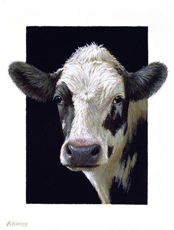 Alexandra Klimas Miniature painting, Emmy a yearling Calf Oil on panel 13 x 10 cm