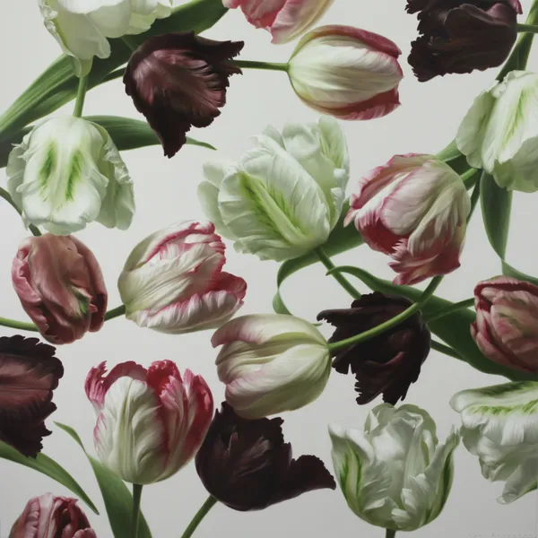 Igor Levashov, Parrot Tulips I