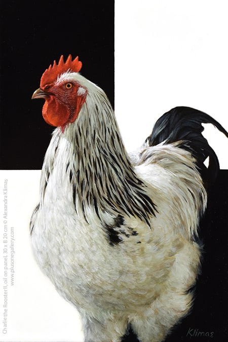 Alexandra Klimas Charlie the Rooster I Oil on panel 30 x 20 cm