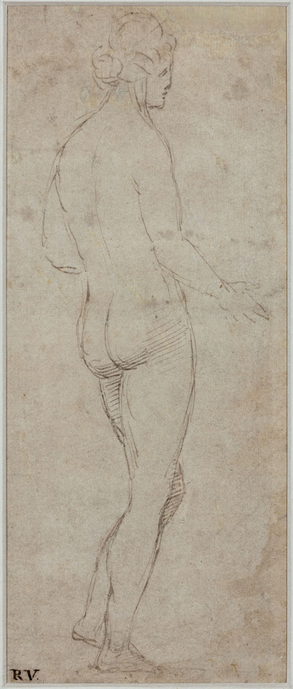 Timoteo VITI (Urbino 1469 - 1523), Study of a female nude, seen from behind, facing right, Circa 1511