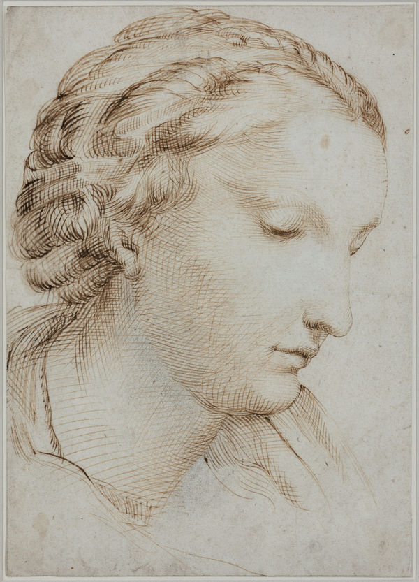 Bartolomeo PASSAROTTI (Bologna 1529 - 1592), Study of woman head
