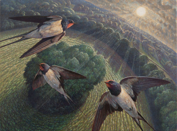 Three Swallows, Horse Hill, 2025 James Lynch