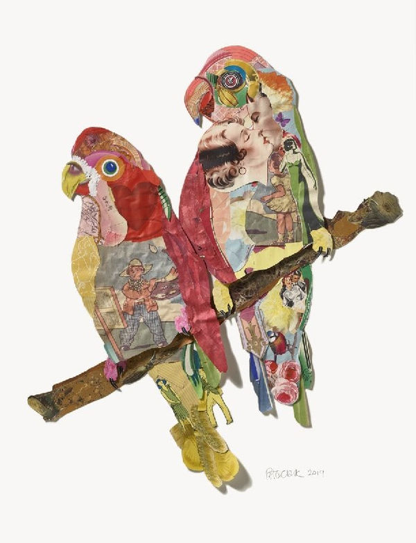 Lovebirds Peter Clark