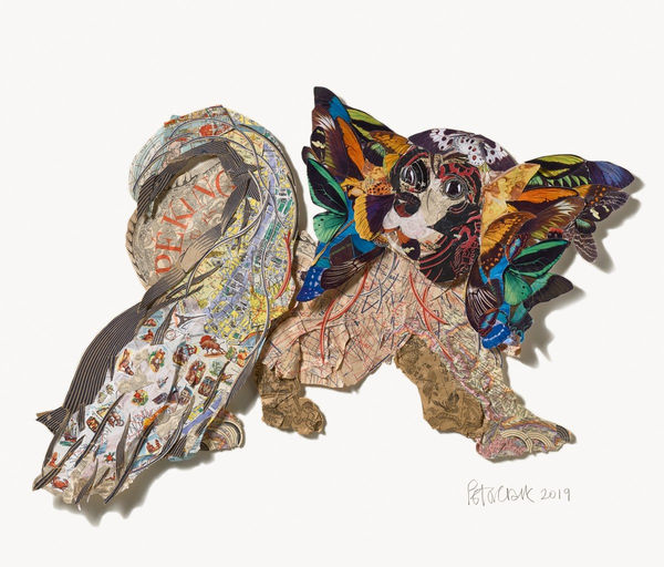 Pappa Papillon Peter Clark