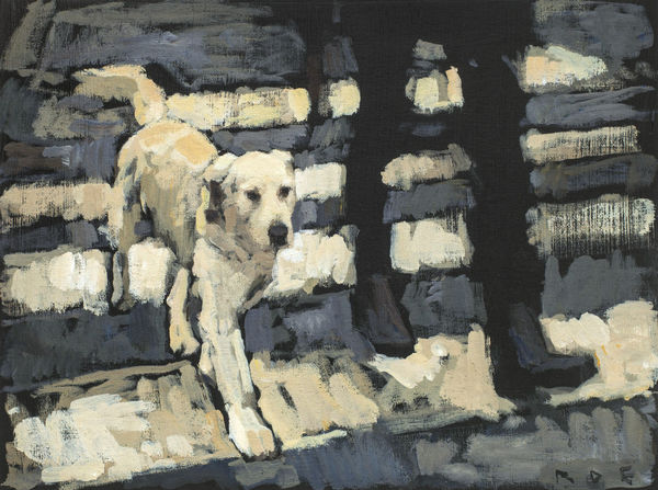 Dog crossing Romy Elliott