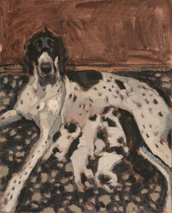 First litter Romy Elliott