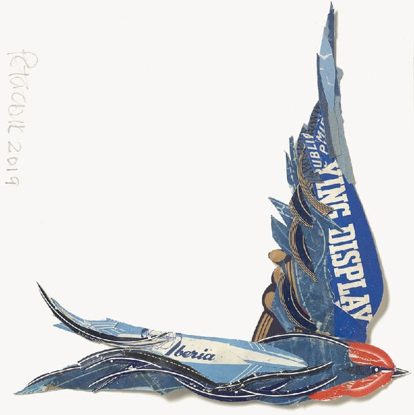 Fly Past Peter Clark