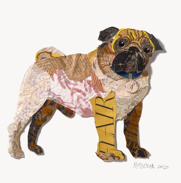 Pale Pug Peter Clark