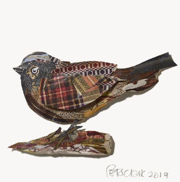 Daily Cheer Peter Clark