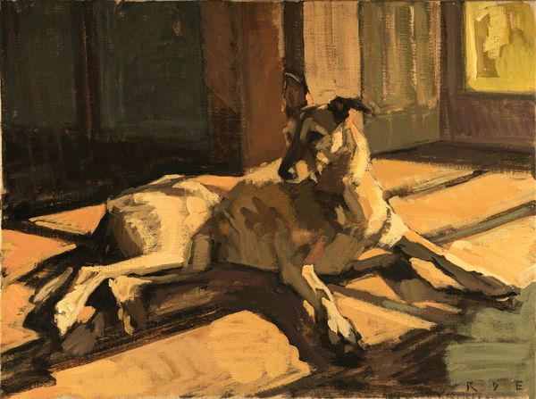 Lurcher in the light Romy Elliott