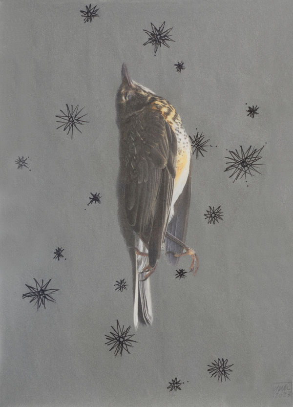 Yu-Wen Wu Bird, 2023