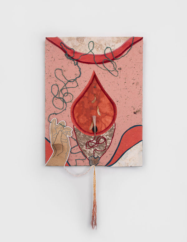 Julia Norton Untitled (Ecotone #3), 2024