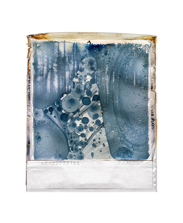 Gohar Dashti Untitled #3, 2022