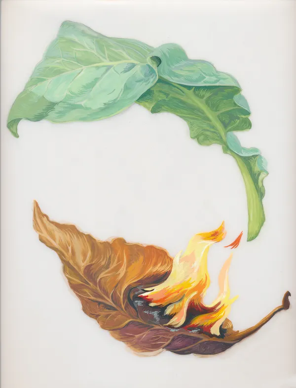 Joiri Minaya Tobacco #2, 2020