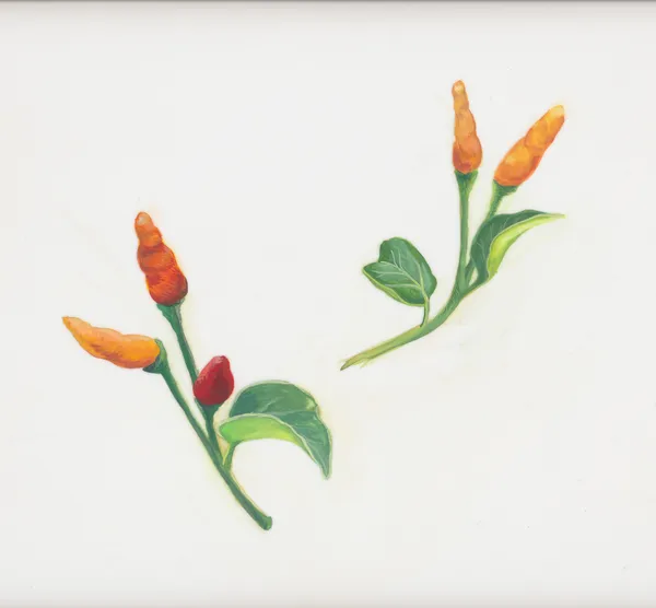 Joiri Minaya Aji, 2020