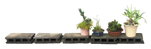 Naomi Reis found still-life (烏丸今出川), 2021