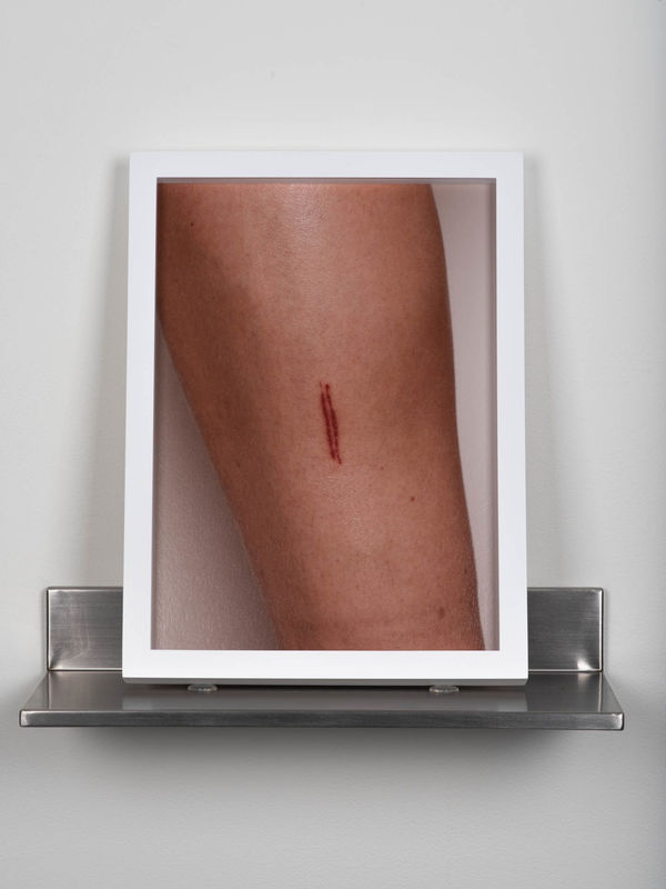 Nicole Wilson T_13, 2016-2021