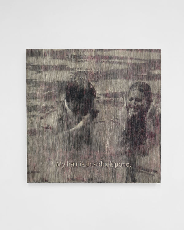 Morgane Ely, My hair is in a duck pond, 2024