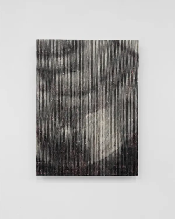 Morgane Ely, Chippendale's Body Up Close 1, 2026