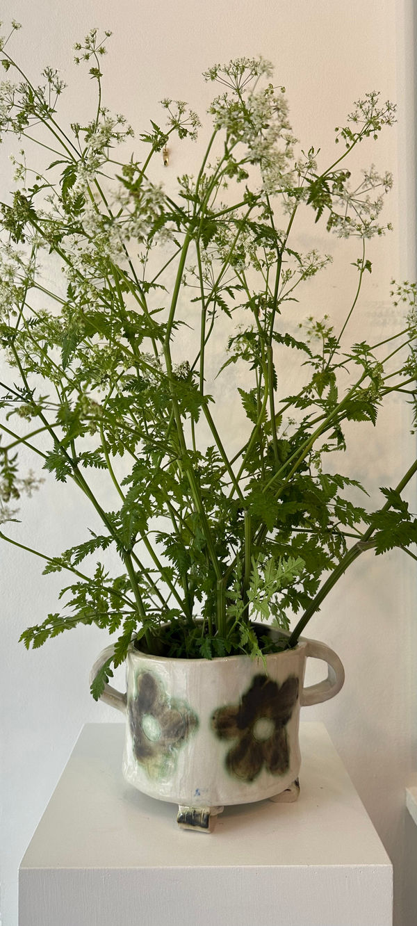 Louise Kaye, Green blossom planter