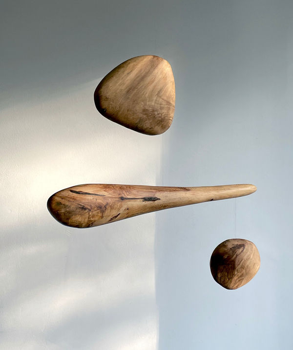 Robert Grieves, Sycamore of Old, 2025