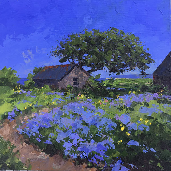 Alec Macdonald, Bluebells