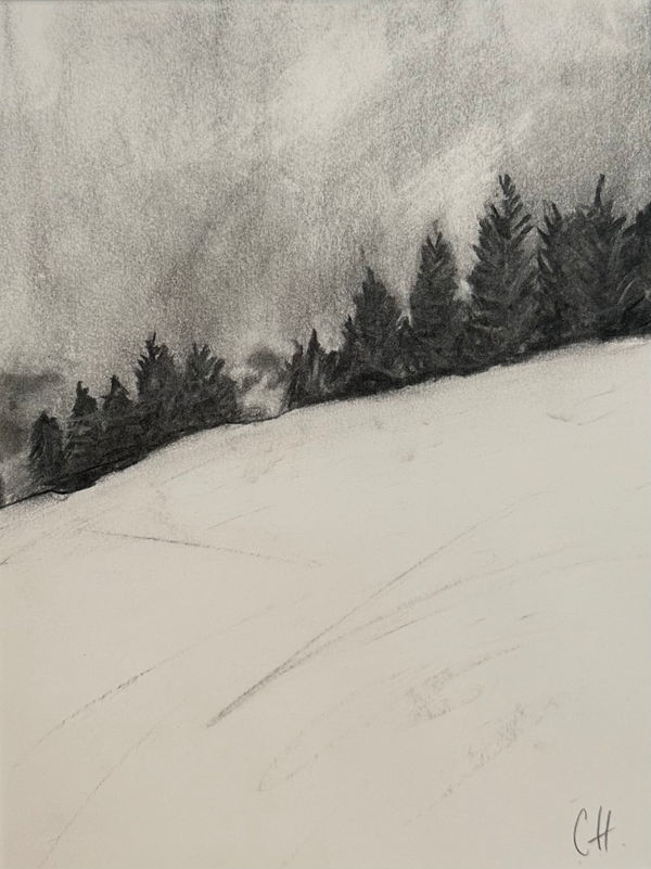 Claire Hankinson, Deer Winter, Alpine Trees, 2024