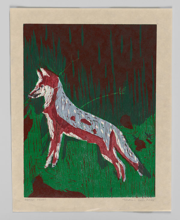 Mari Eastman, Untitled (Gray Fox), Artist's Proof (1), 2025