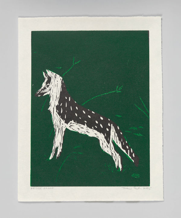 Mari Eastman, Untitled (Gray Fox), Artist's Proof (3), 2025