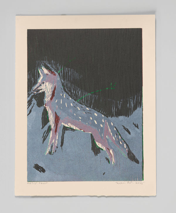 Mari Eastman, Untitled (Gray Fox), Artist's Proof (2), 2025