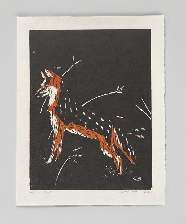 Mari Eastman, Untitled (Gray Fox), Artist's Proof (4), 2025